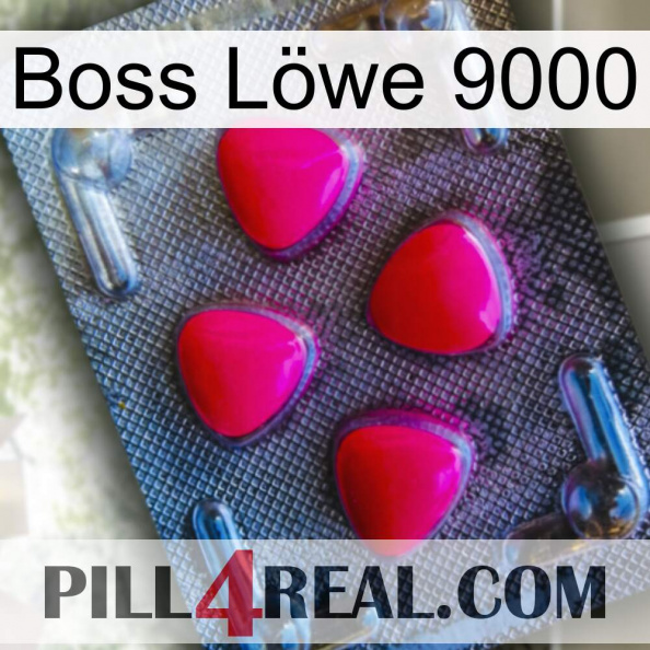 Boss Löwe 9000 13.jpg
